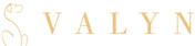 Logo en toutes lettres de Valyn