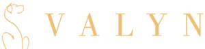 Logo en toutes lettres de Valyn