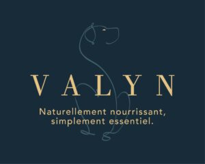 Version complète du logo de Valyn