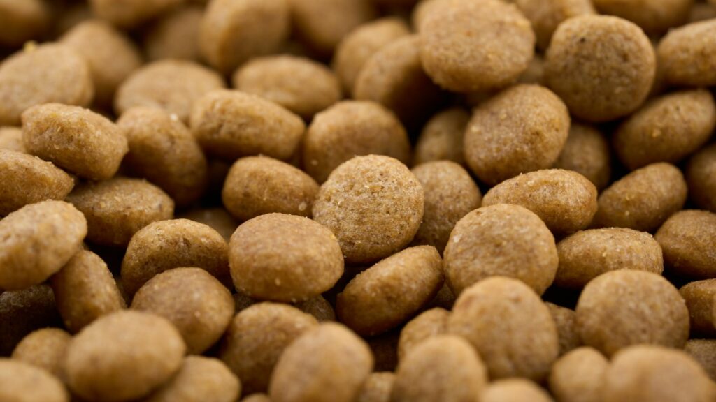 croquettes VALYN
