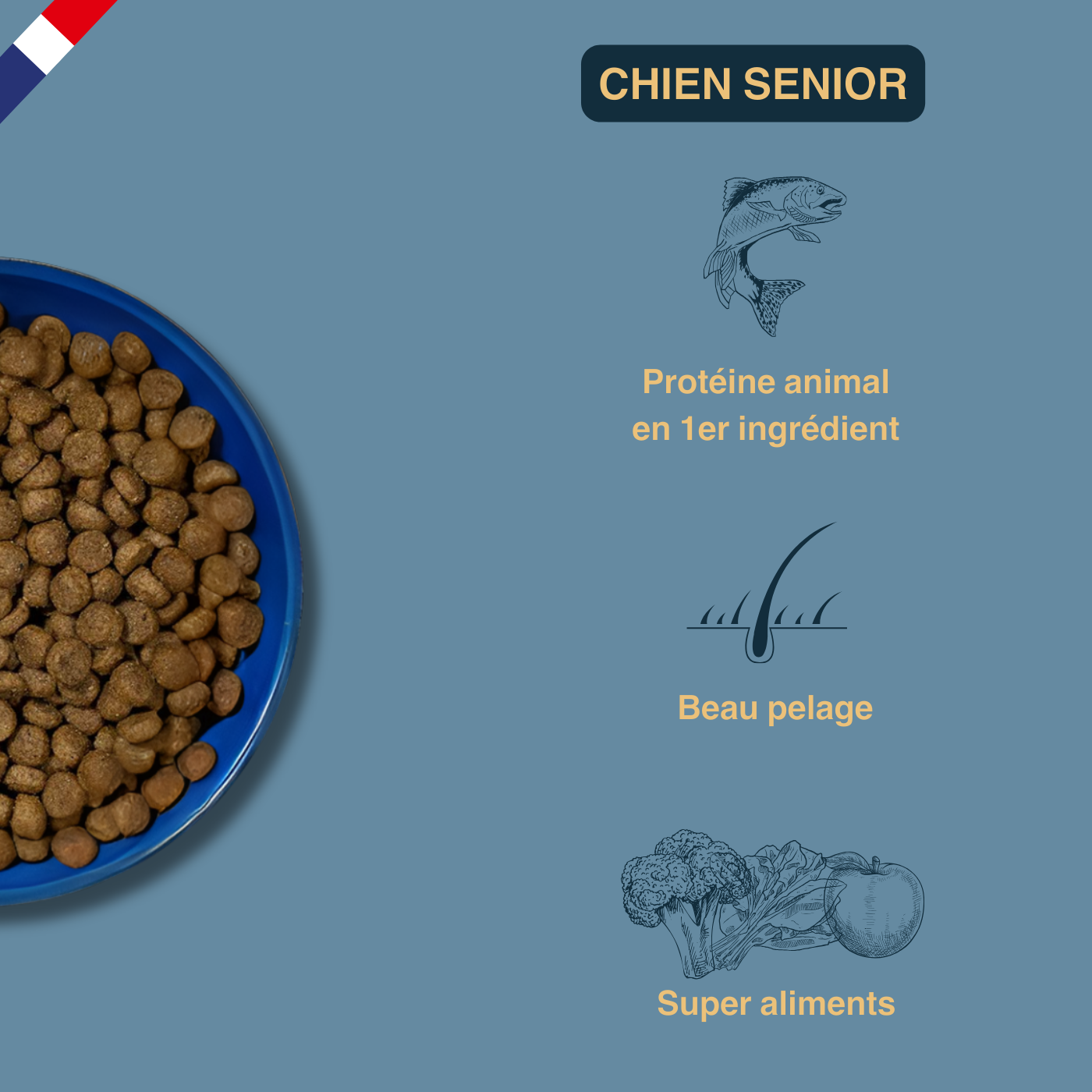 croquettes poisson blanc pour chien senior croquettes poisson blanc pour chien senior