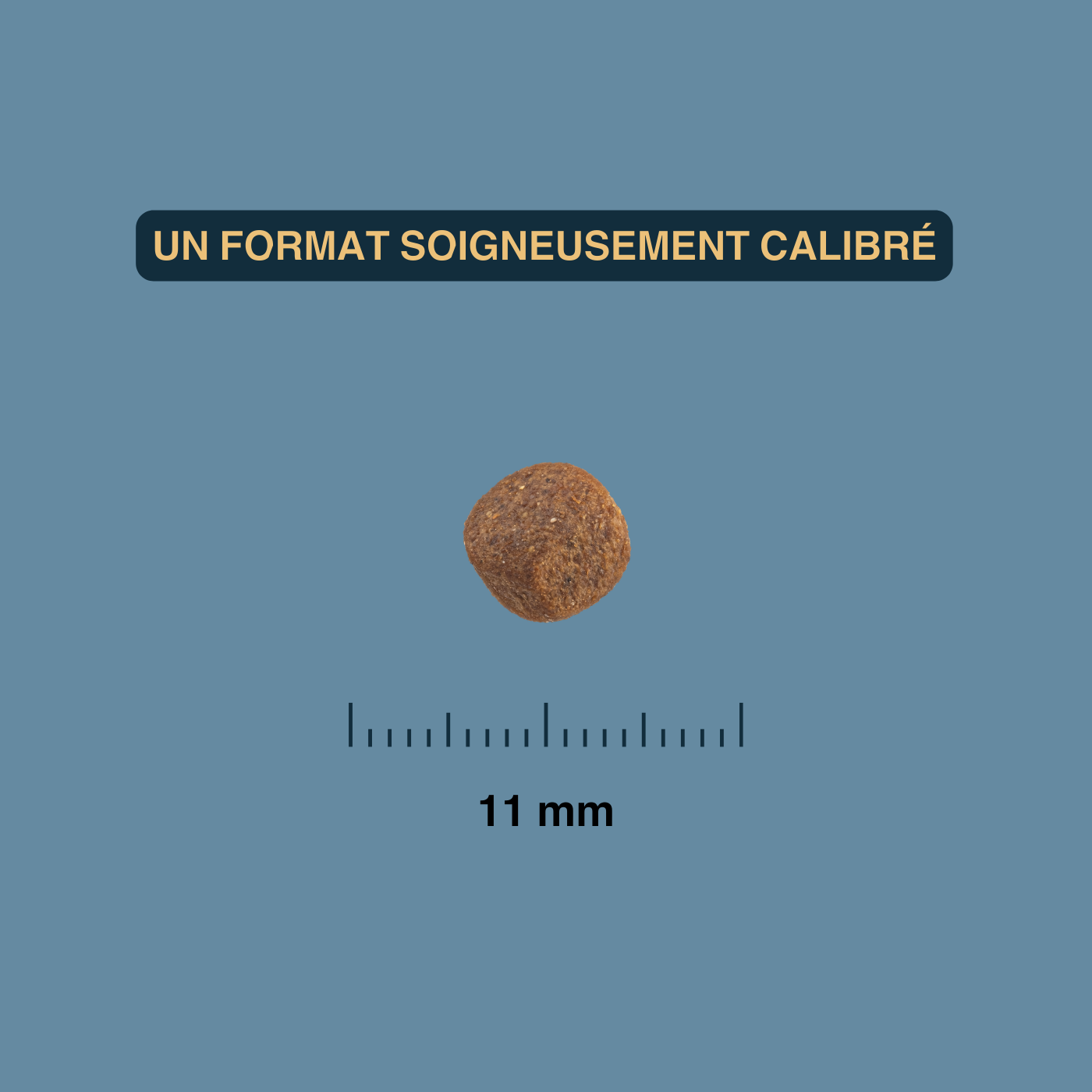 croquettes poisson blanc pour chien senior croquettes poisson blanc pour chien senior