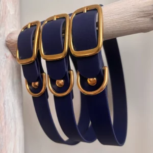 collier pour chien en biothane
