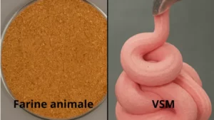 farine animal / VSM