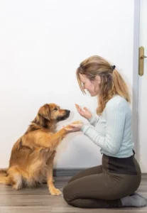aude carrez et son chien guizmo