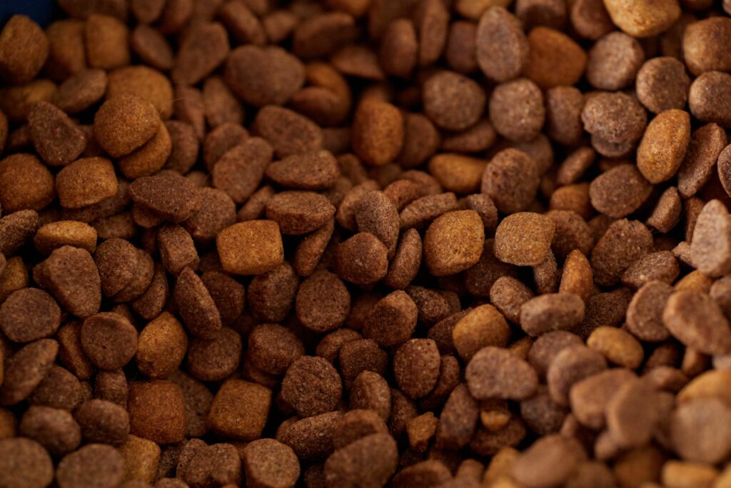 croquettes